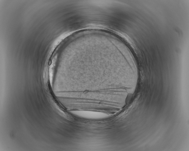 X0000112031371200909141047