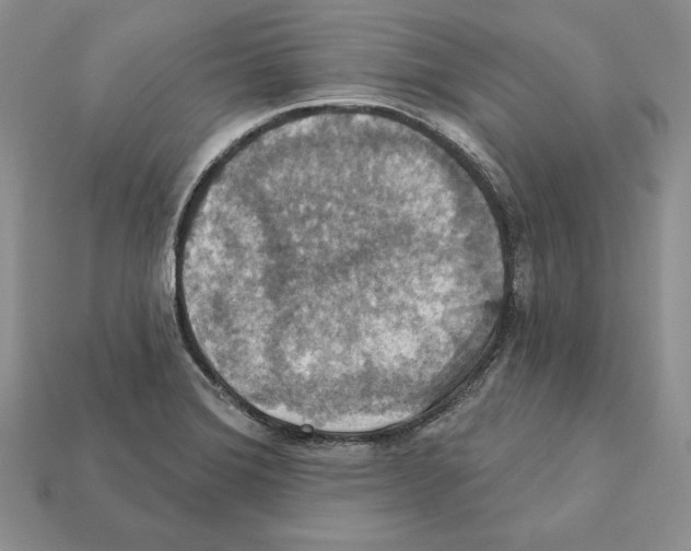 X0000112031372200909141047