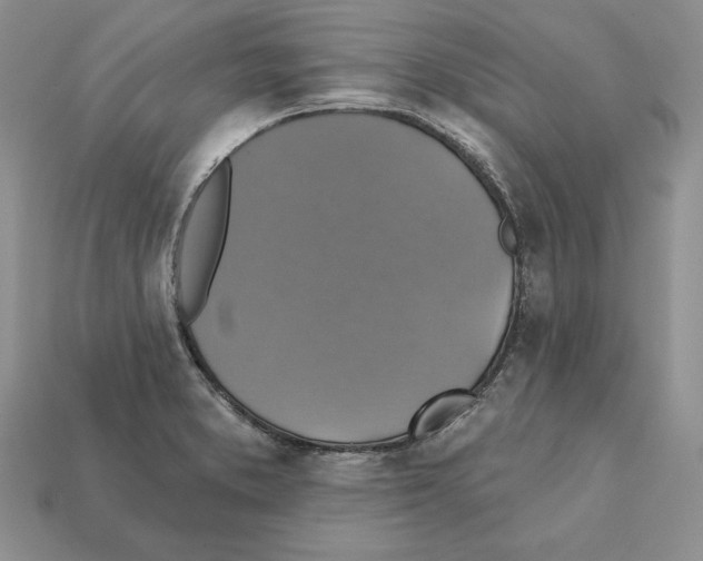X0000112031373200909141047