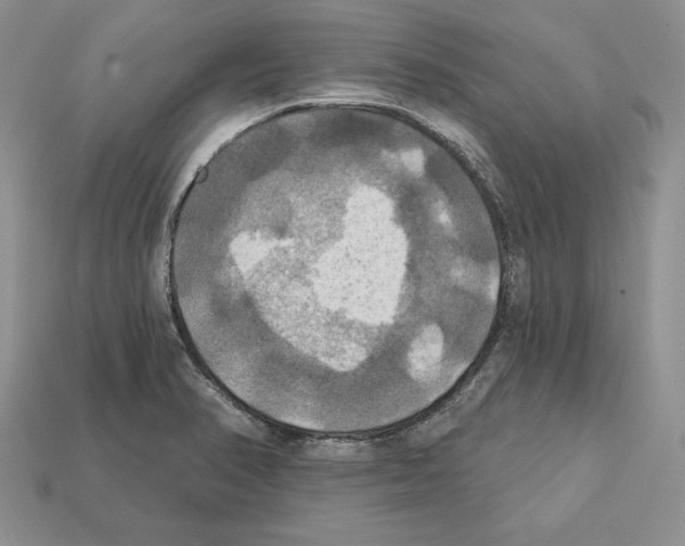 X0000112031374200909141047