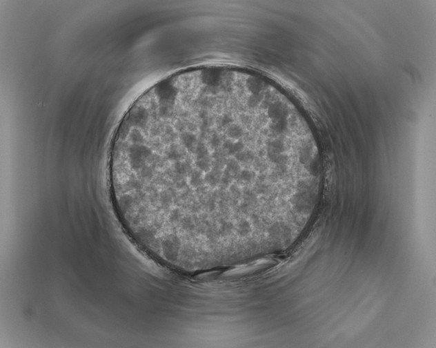 X0000112031375200909141047