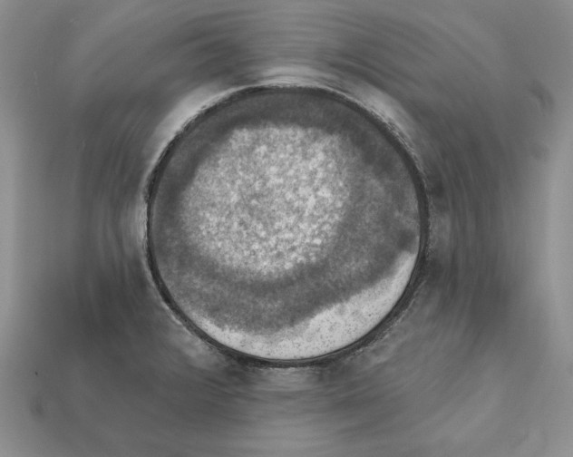 X0000112031376200909141047