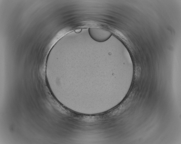 X0000112031378200909141047