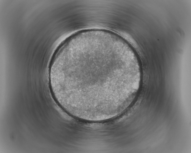 X0000112031380200909141047