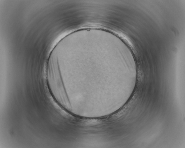 X0000112031382200909141047
