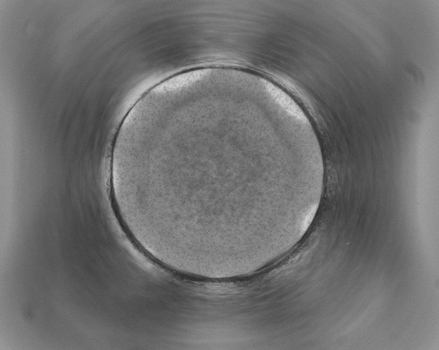 X0000112031383200909141047