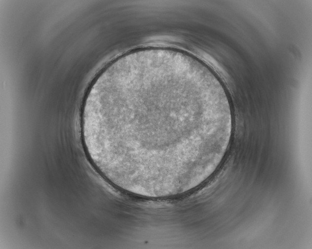 X0000112031384200909141047
