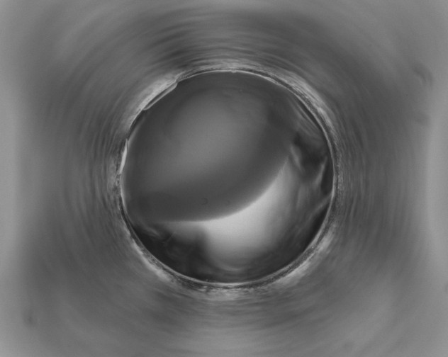 X0000112031385200909141047