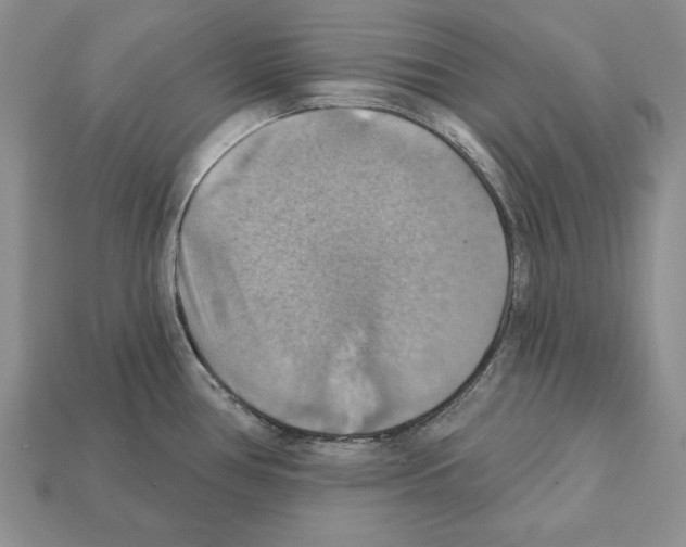 X0000112031386200909141047