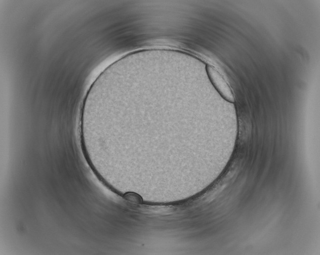X0000112031387200909141047