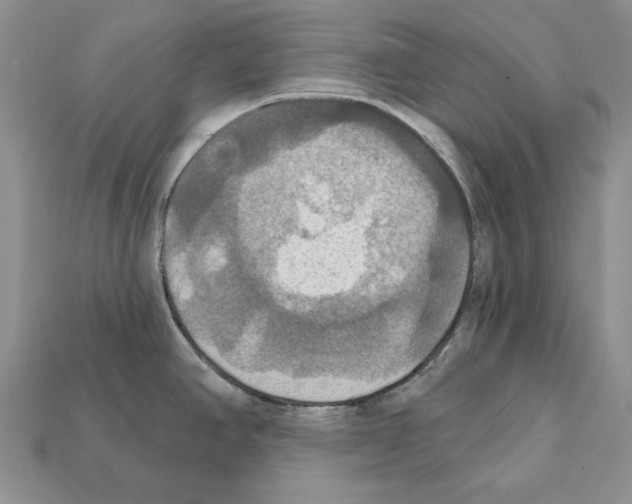 X0000112031390200909141047