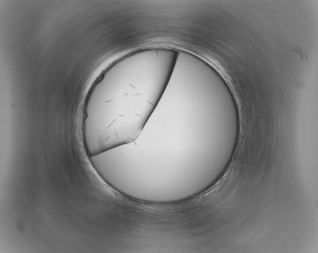 X0000112031392200909141047