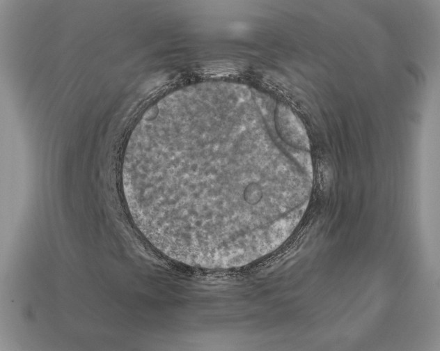 X0000112031393200909141047
