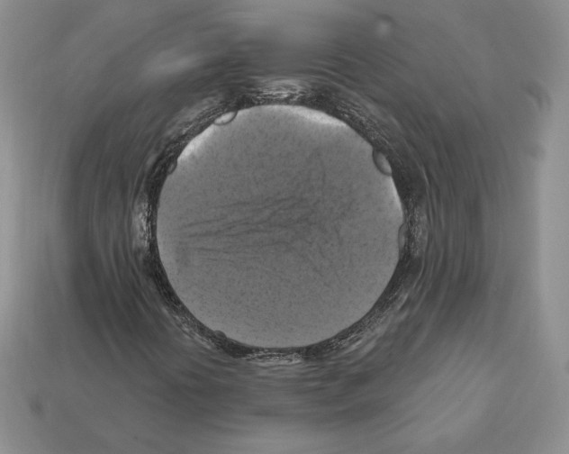 X0000112031394200909141047
