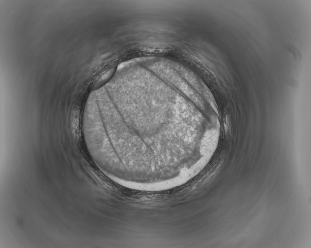 X0000112031396200909141047
