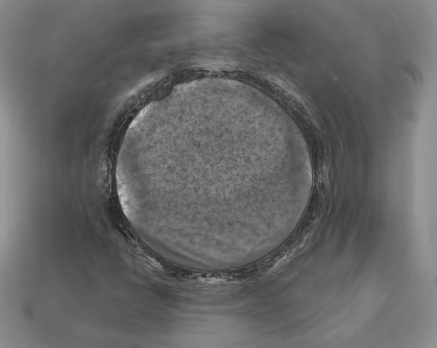 X0000112031398200909141047