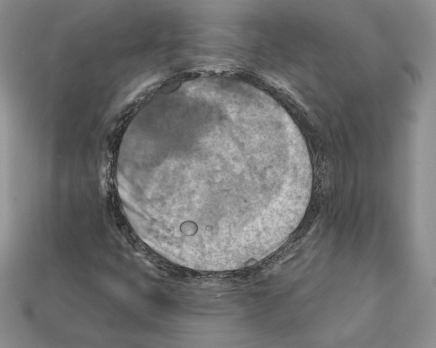 X0000112031399200909141047