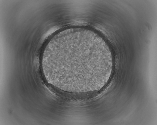 X0000112031402200909141047