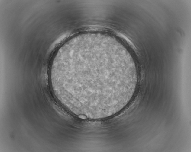 X0000112031403200909141047