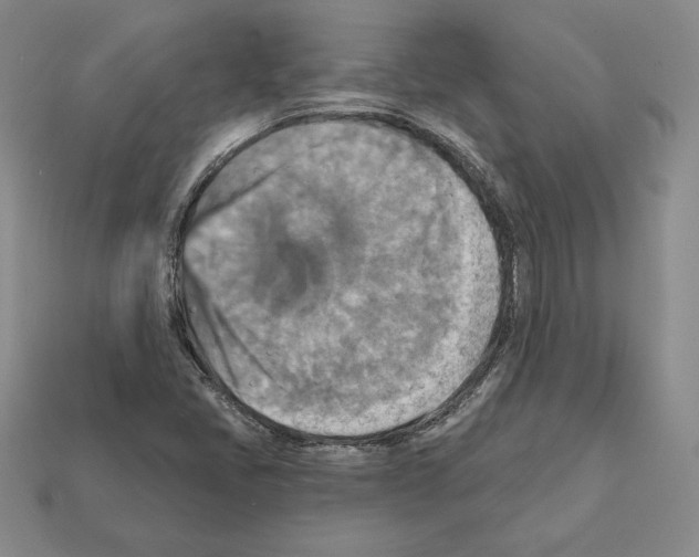 X0000112031405200909141047