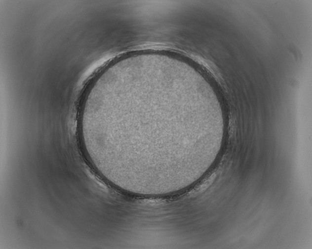 X0000112031406200909141047
