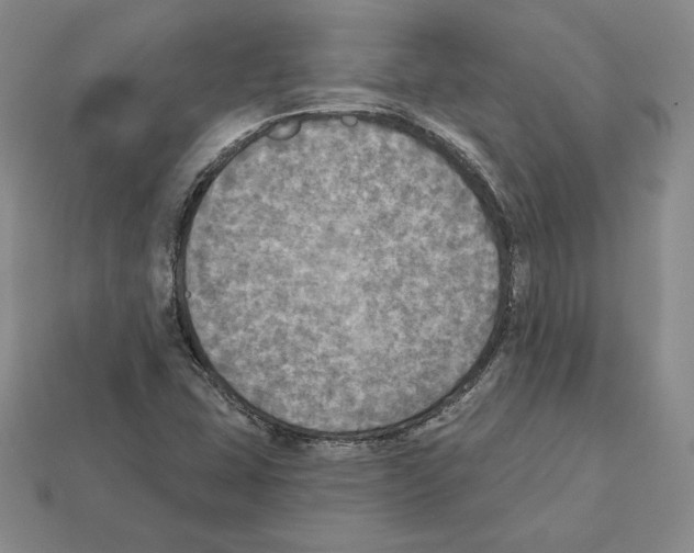 X0000112031407200909141047