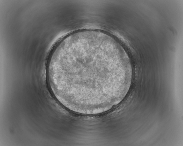 X0000112031408200909141047