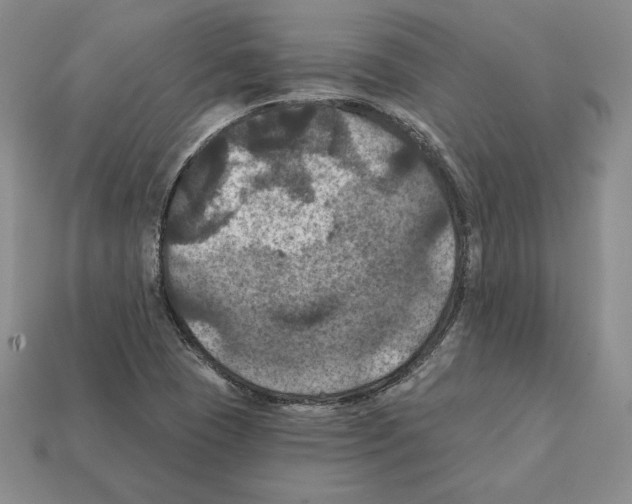 X0000112031409200909141047