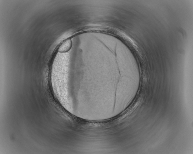 X0000112031411200909141047