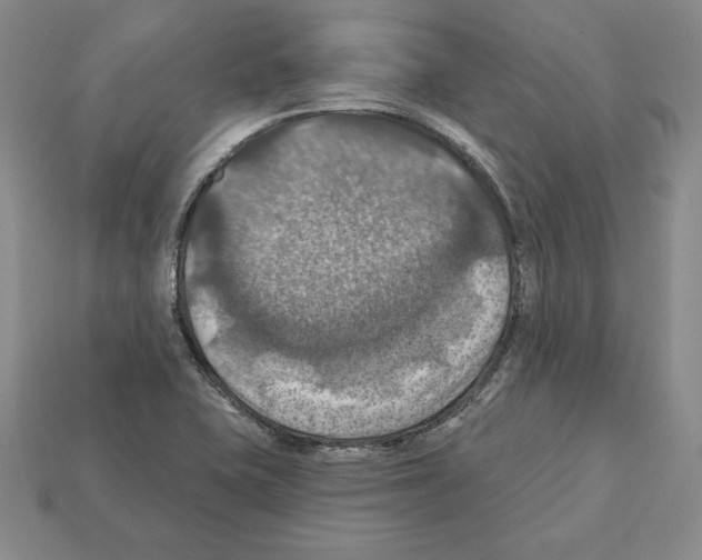 X0000112031415200909141047