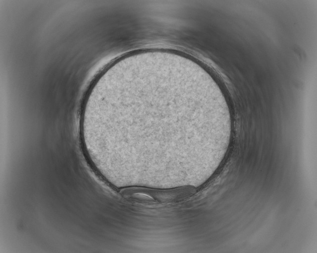 X0000112031416200909141047