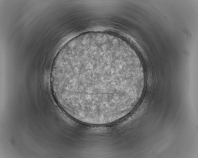 X0000112031417200909141047