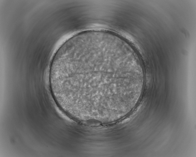 X0000112031421200909141047