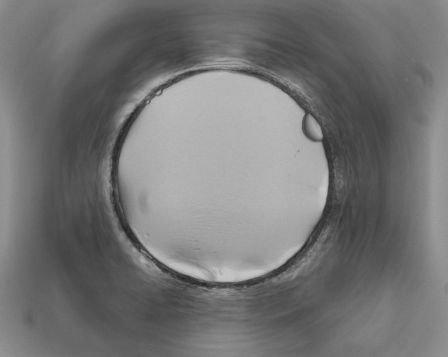 X0000112031422200909141047