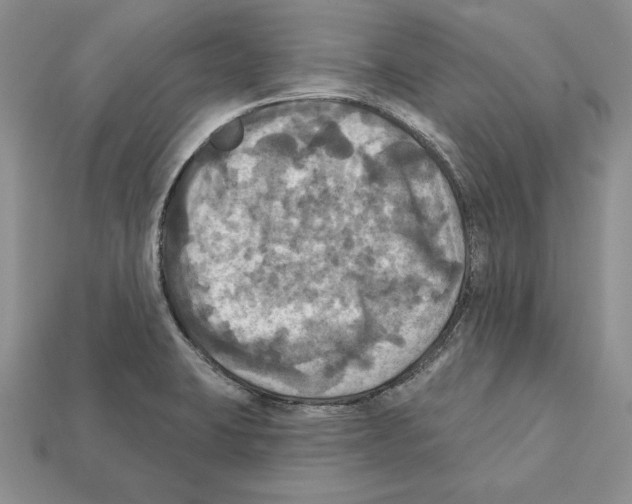 X0000112031423200909141047