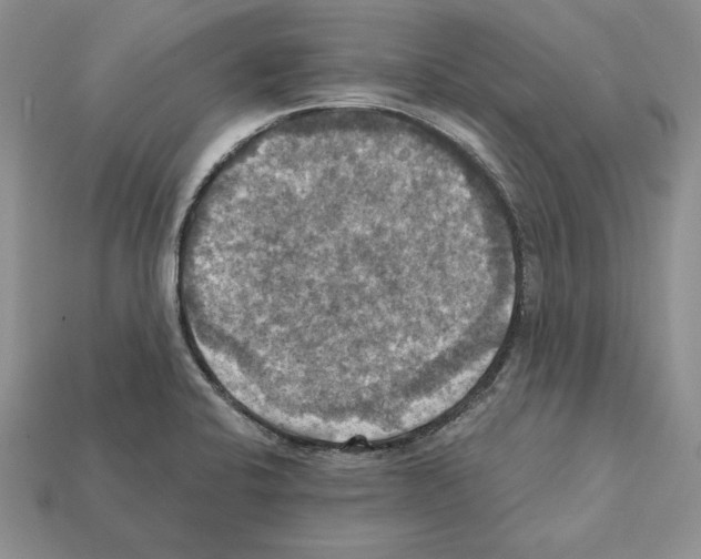 X0000112031424200909141047