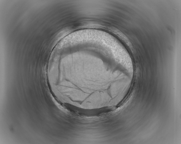 X0000112031425200909141047