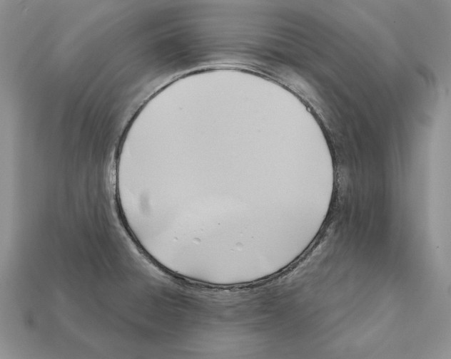 X0000112031428200909141047