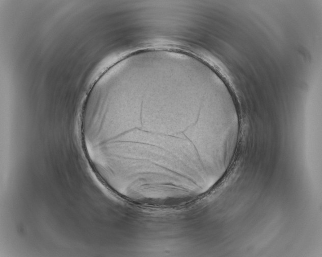 X0000112031429200909141047