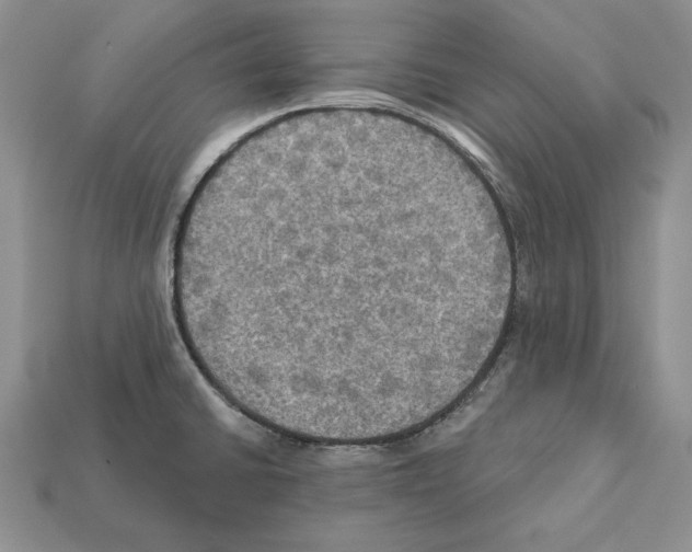 X0000112031430200909141047