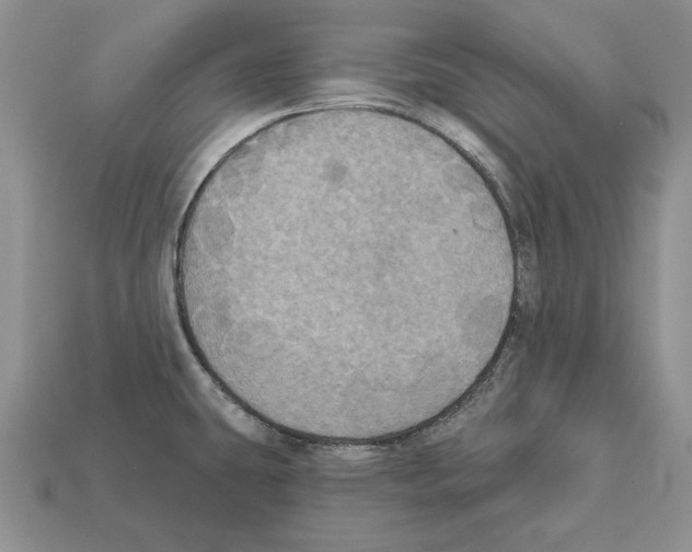 X0000112031431200909141047