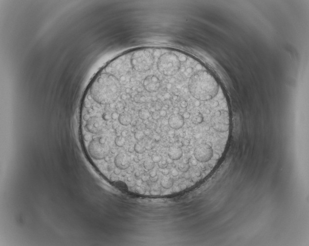 X0000112031432200909141047