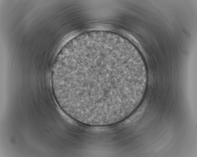 X0000112031433200909141047