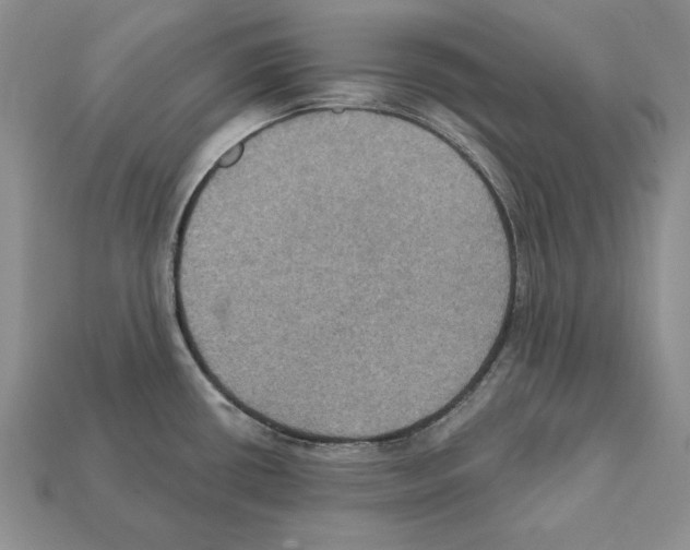 X0000112031434200909141047