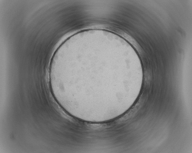 X0000112031436200909141047