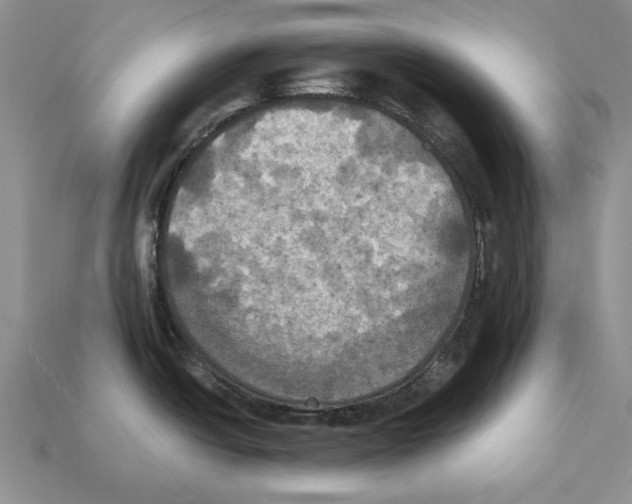 X0000112031438200909141047