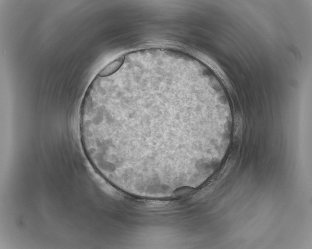 X0000112031439200909141047