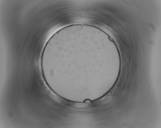 X0000112031440200909141047