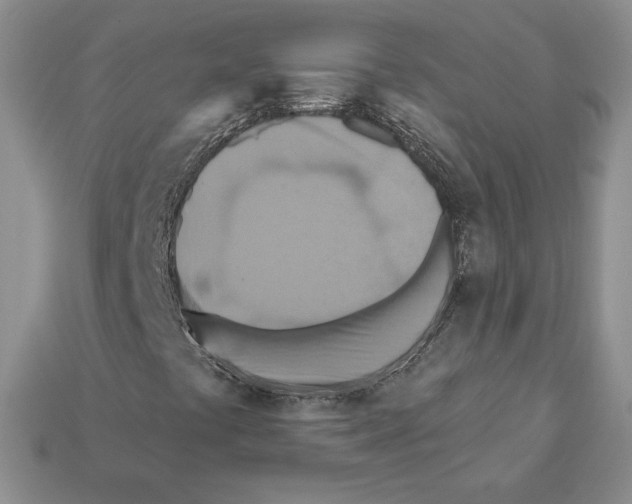 X0000112031441200909141047