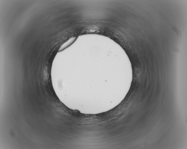 X0000112031442200909141047